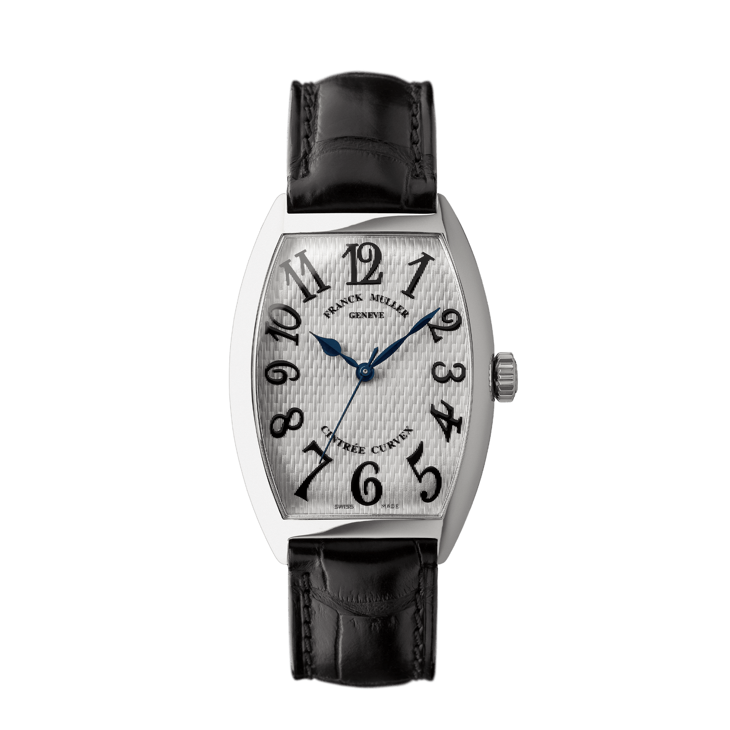 CINTRÉE CURVEX 30th