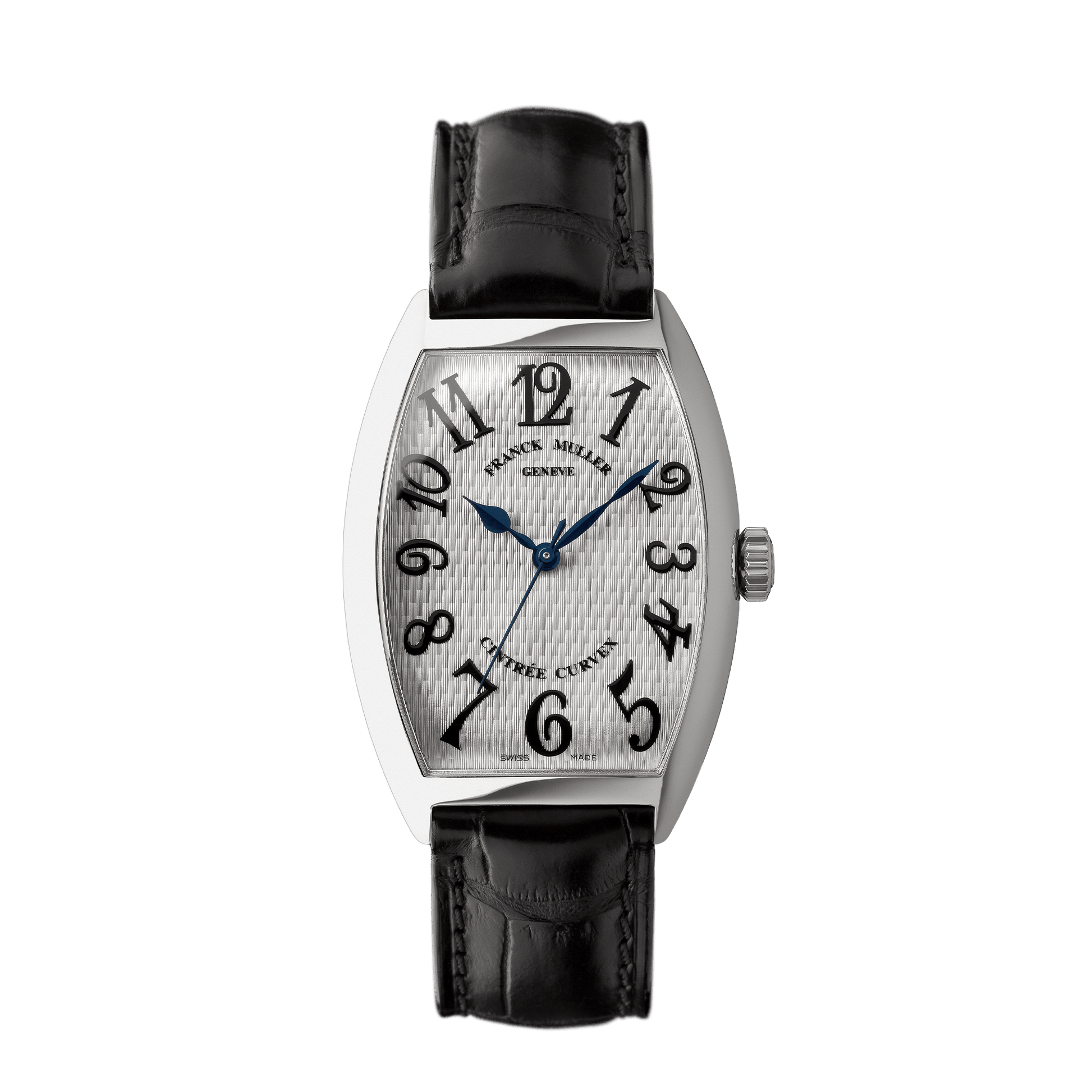 CINTRÉE CURVEX 30th