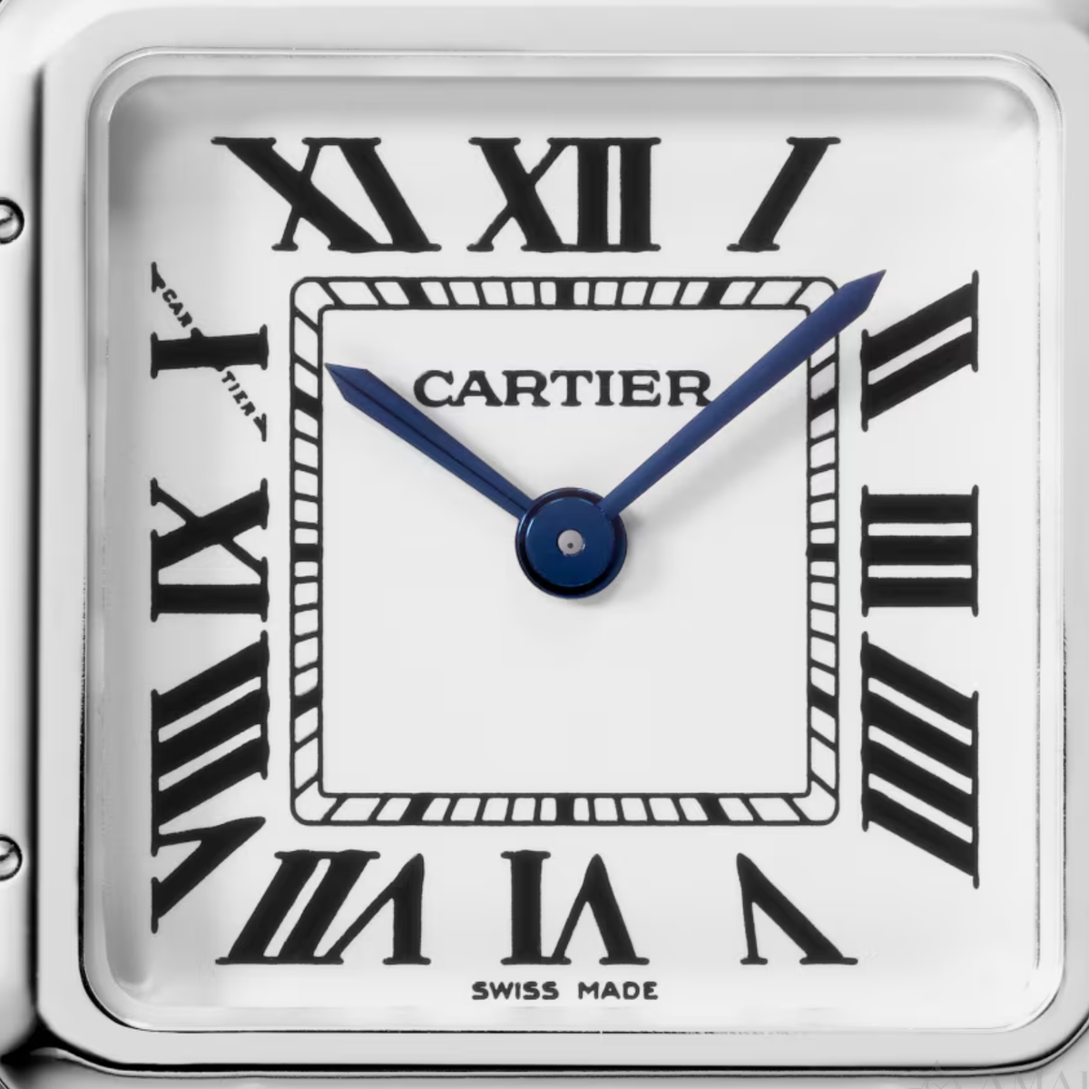 Cartier PanthŠre Ladies Watch ? Silver Tone