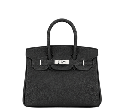 Hermès Bag _ Birkin 25 Black Sliver Lock