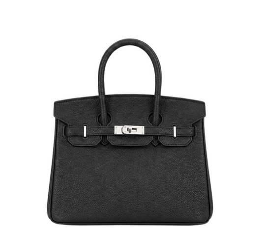 Hermès Bag _ Birkin 25 Black Sliver Lock