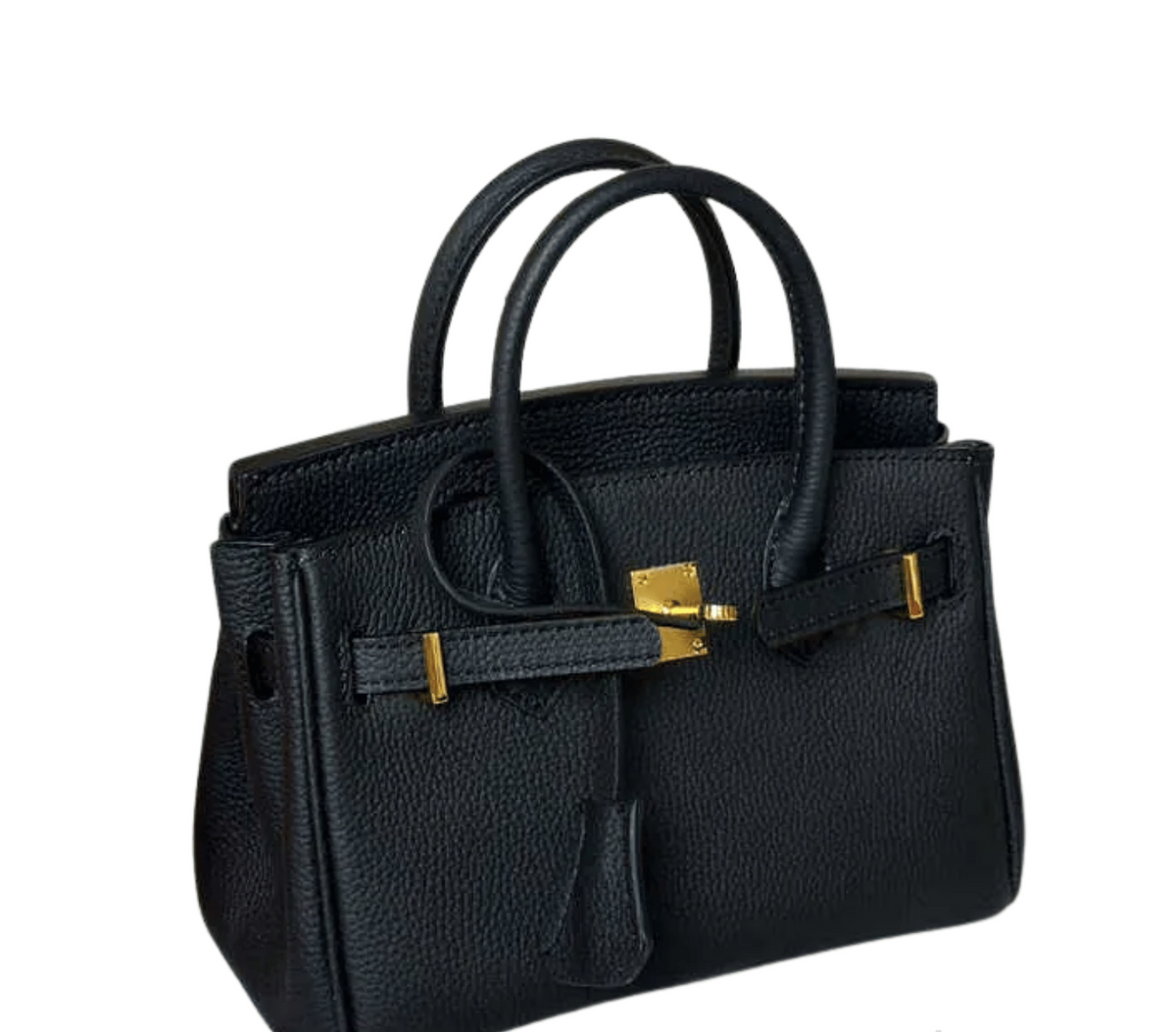 Hermès Bag _ Birkin 20 Black