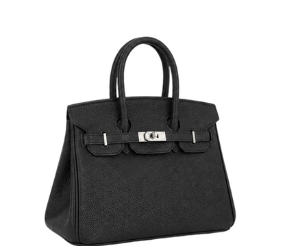 Hermès Bag _ Birkin 25 Black Sliver Lock