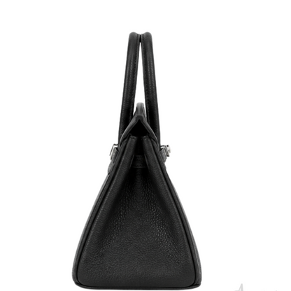 Hermès Bag _ Birkin 25 Black Sliver Lock
